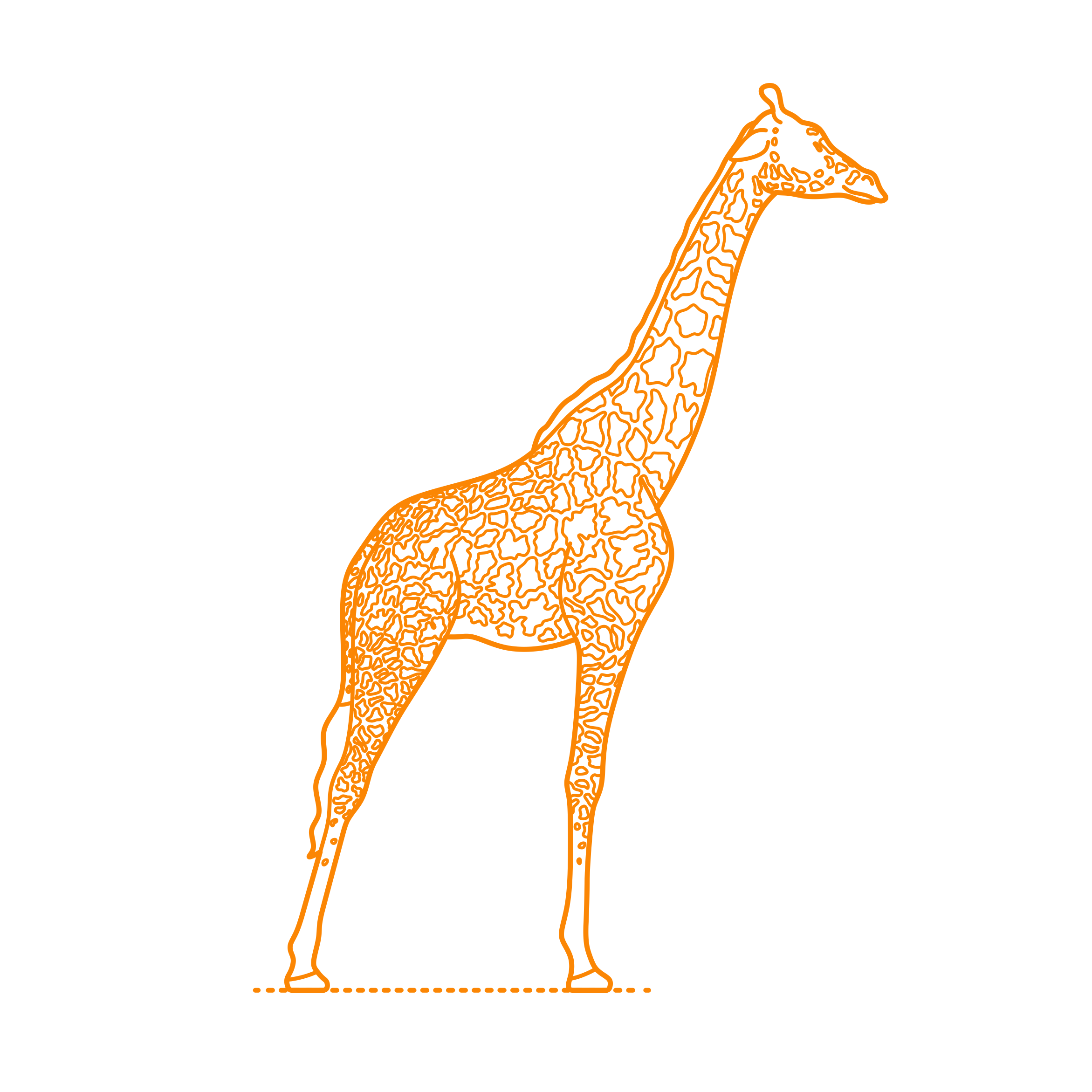 Animals Giraffoids Masai Giraffe Stencil Svg Design File Free Vectors